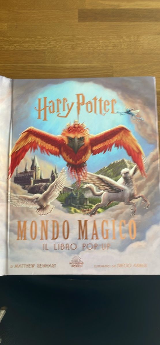 Bücher: Pop Up Harry Potter Buch – Gebraucht aus Gudo von sox80