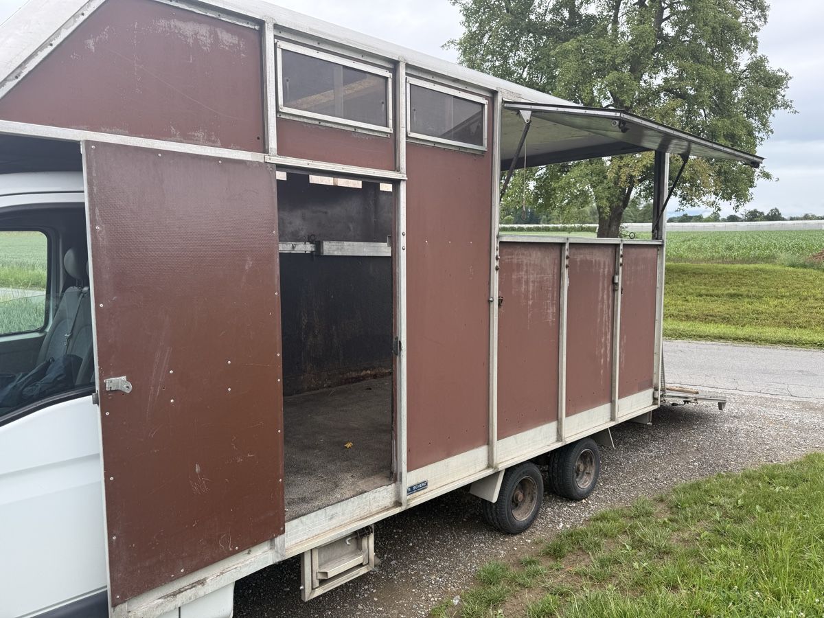 Renault Veicoli commerciali: Pferdetransporter Aufbau Scherz – Usato da Romanshorn venduto da fiber01 5