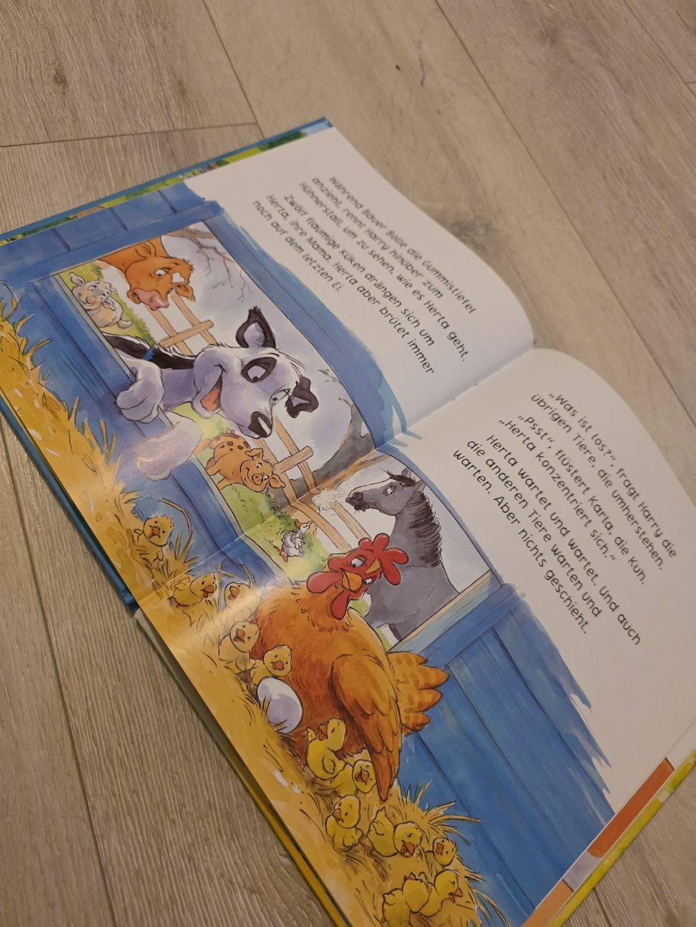 Libri: Kinderbuch "Das dreizehnte Ei"  – Usato da Wigoltingen venduto da Zuckerfee84 4