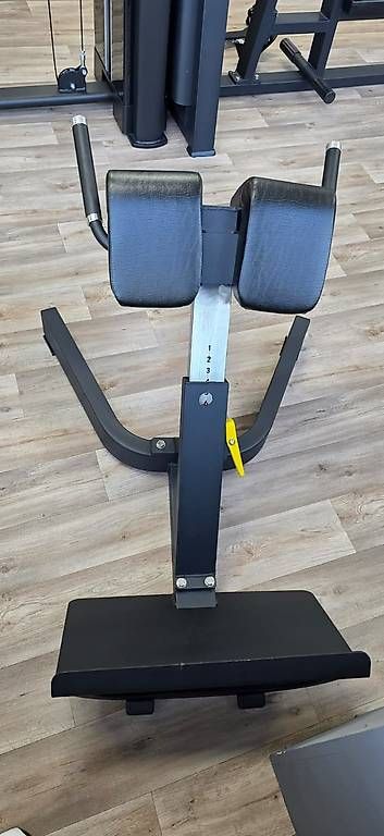 Hometrainer: Rückenstrecker / Backextension  – Usato da Reinach BL venduto da inf_2lmk 2