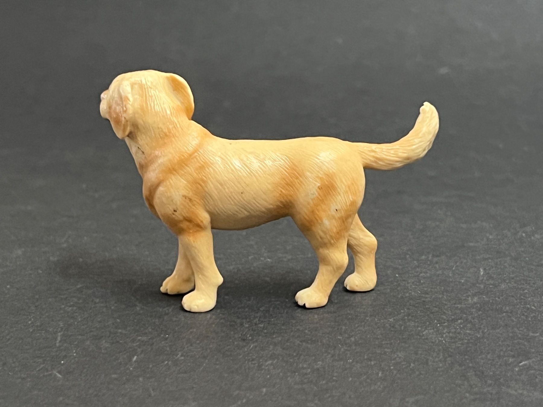 Schleich Figuren: Schleich 16329 - Labrador gelb Hund – Gebraucht aus Ennetbaden von mapa05 4