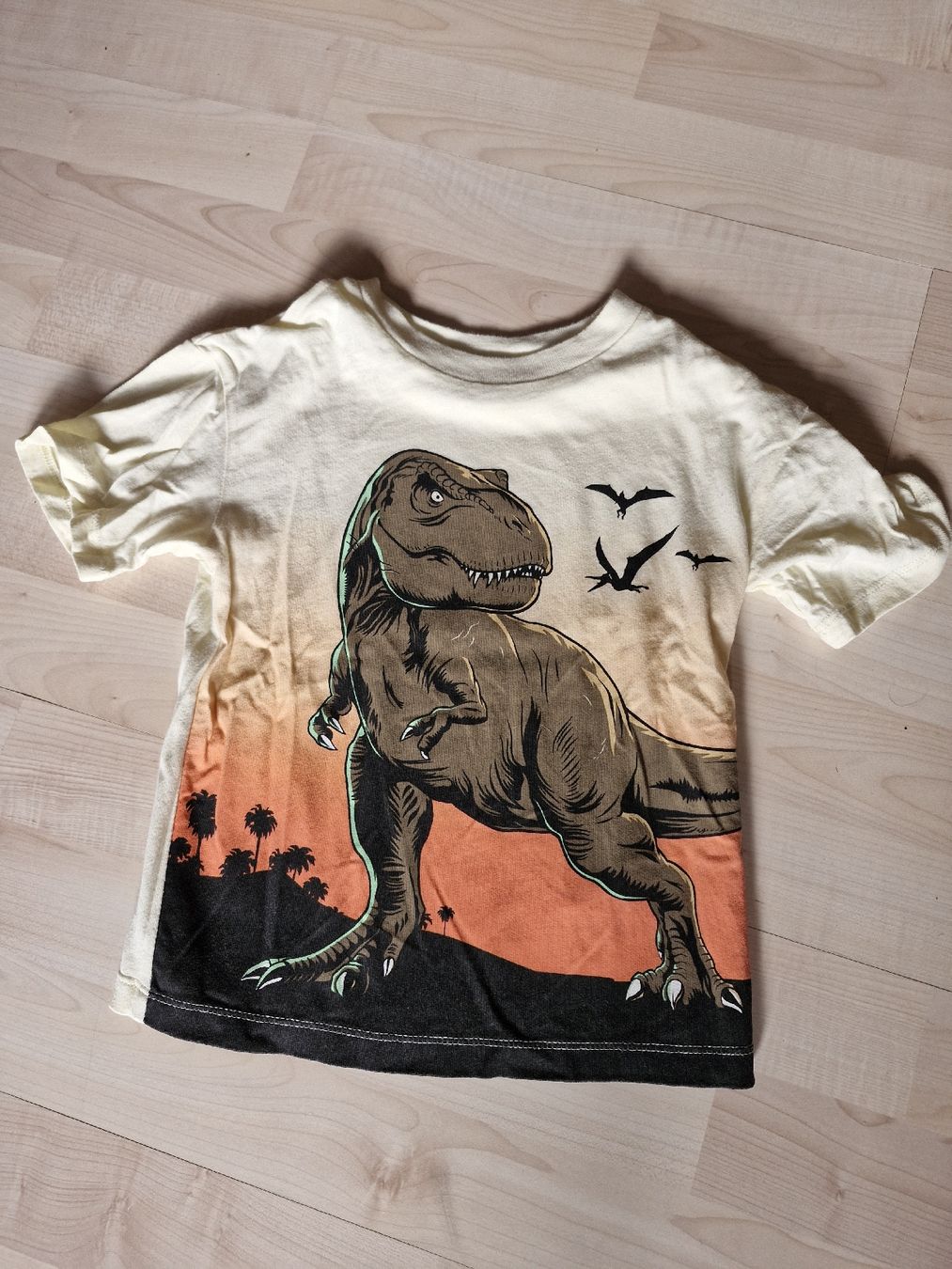 H&M Camicie, T-shirt & Polo: 2 T-shirt Gr.98,  98/104 – Usato da Disentis/Mustér venduto da epa_862v 1