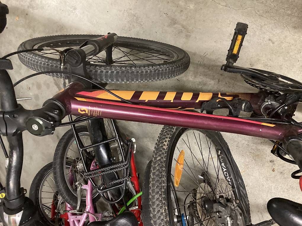 Biciclette: Kindervelo SCOTT 24Zoll – Usato da Greifensee venduto da Greifensee12 2