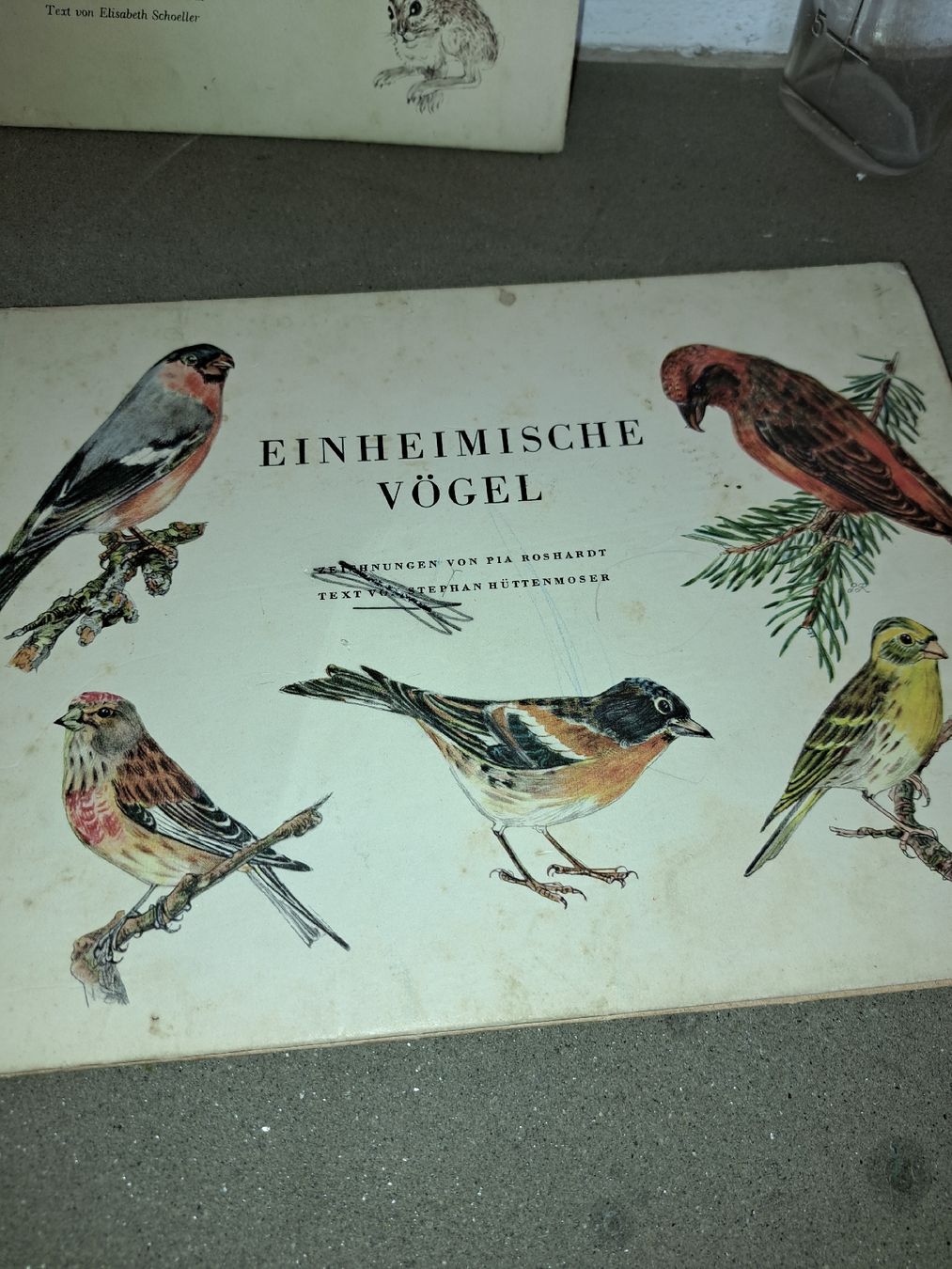 Libri: Alte Kinderbücher: Einheimische Vögel + Purzel-Hasengesch. – Usato da Kölliken venduto da Upcycling-by-Mc-TAM 3