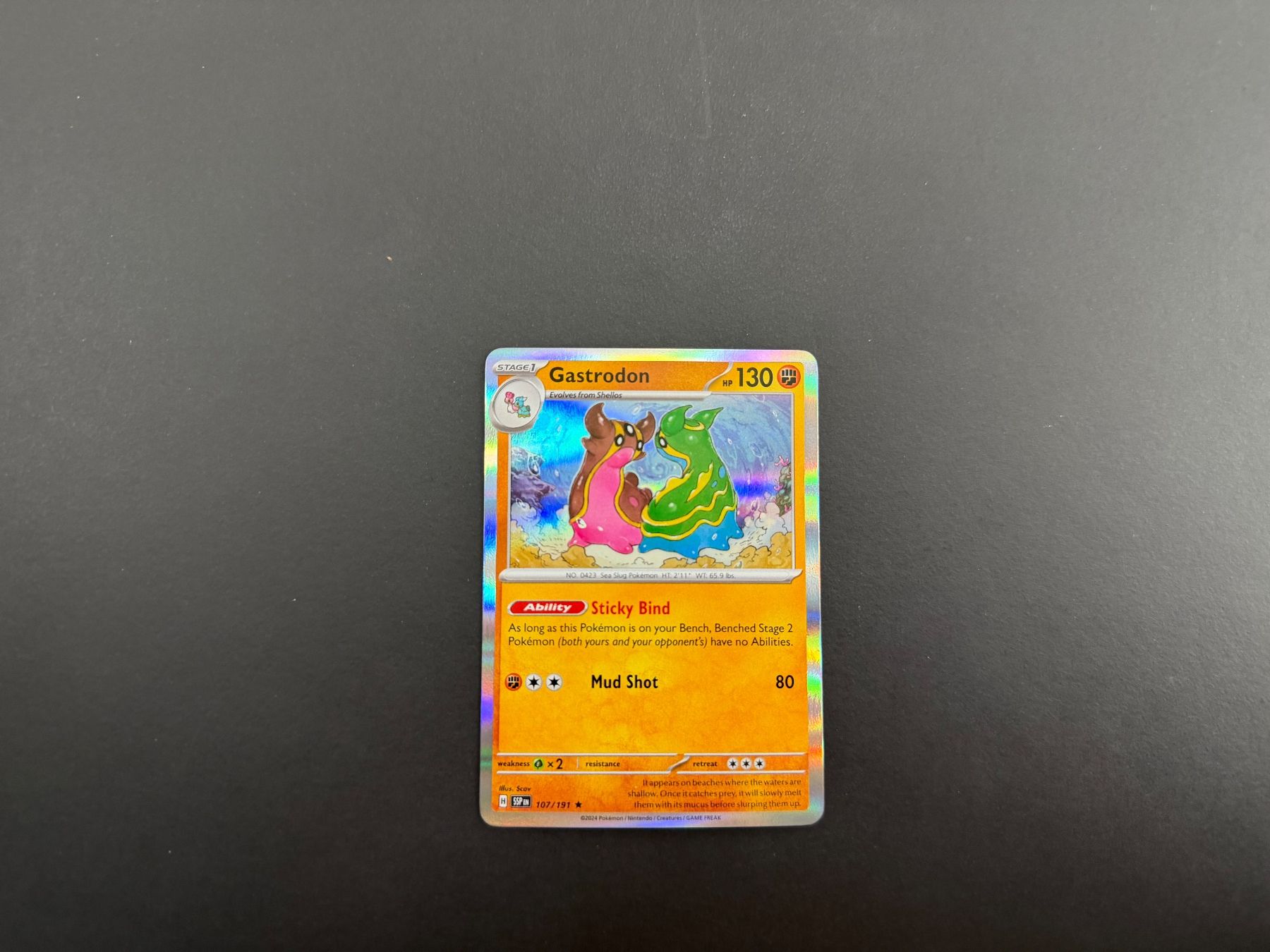 Pokémon Carte collezionabili: Gastrodon 107/191 – Usato da Zürich venduto da mountainwizard00
