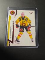 Anton Lindholm SC Bern SportZoo red /20