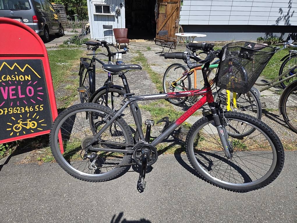 Biciclette: Terrano suisse star MTB – Usato da Biel/Bienne venduto da Rouf7 4
