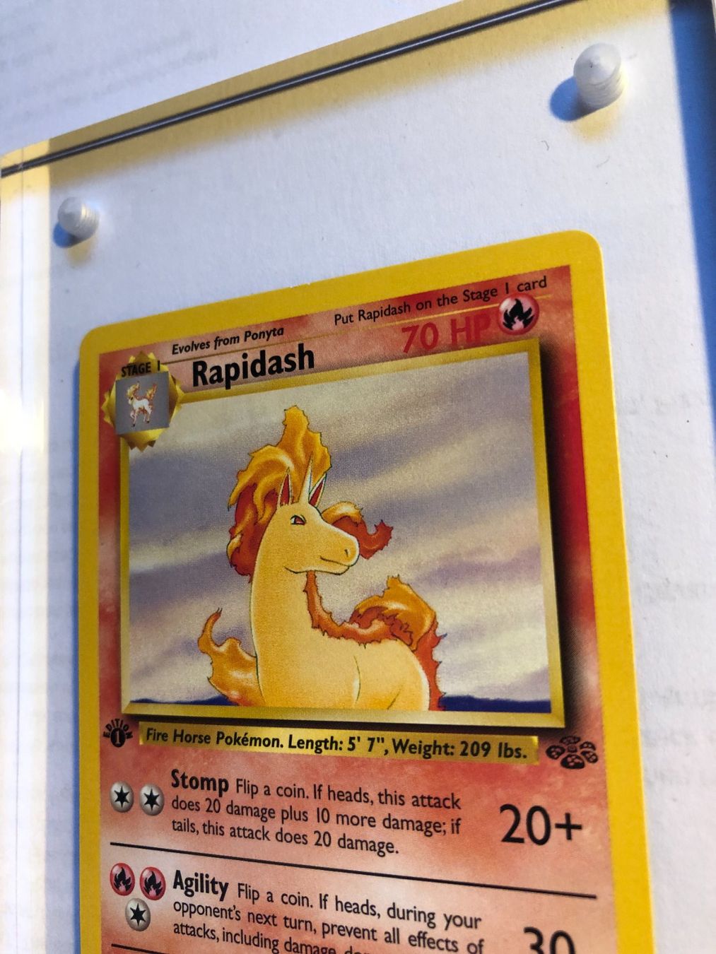 Sammelbilder & Trading cards: Rapidash (uncommon) 1st Jungle - MINT - ab 1.- – Gebraucht aus Giubiasco von dan_pr8b 3
