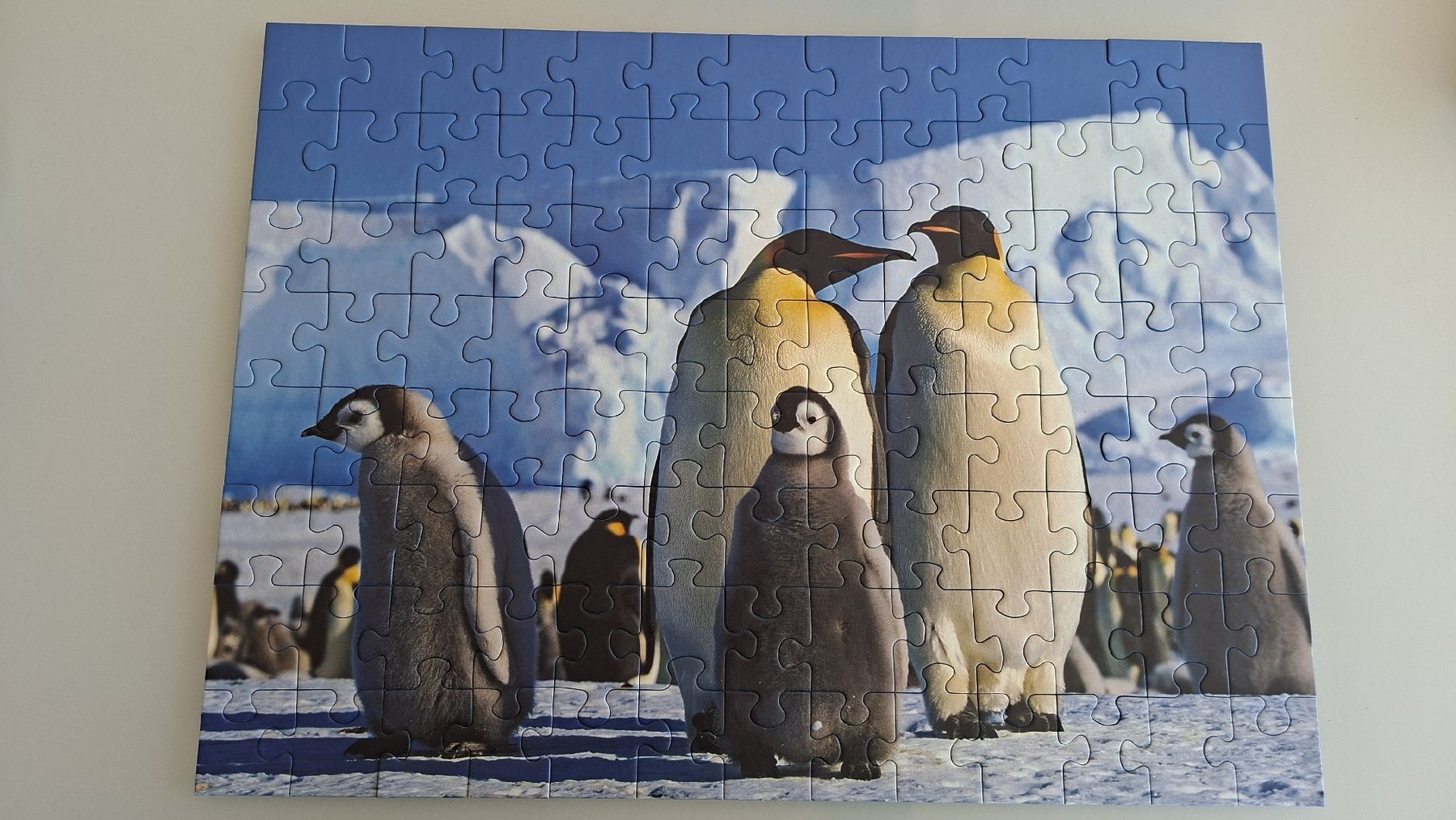Puzzle: WWF Puzzle Kaiserpinguin 100 Teile – Usato da Ettingen venduto da gonitanne