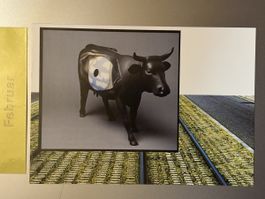 AK von Kühe Kunst Projekt / René Magritte