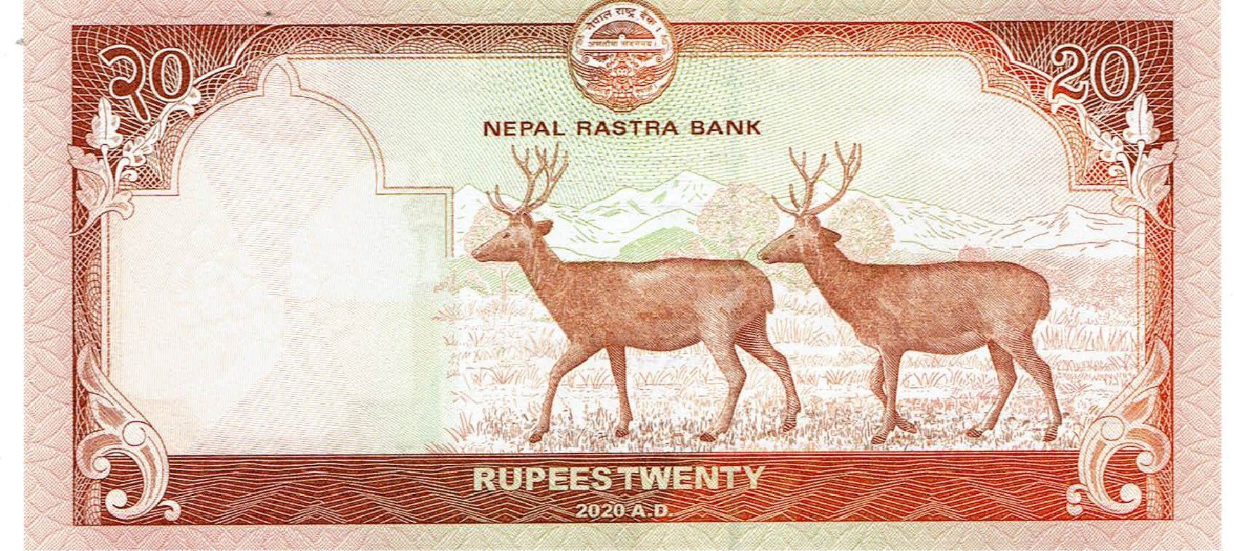 Banconote: Nepal 20 Rupees P-78b Samba Deers UNZ – Nuovo (secondo la descrizione) da Steffisburg venduto da ber_8htf 1