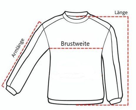 Maglioni & Felpe: Toller Hoodie Kapuzenpullover von FSBN, Grösse L – Usato da Gysenstein venduto da joshuas81 4