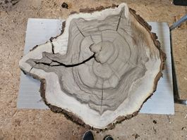 Nussbaum Holz Baumscheibe