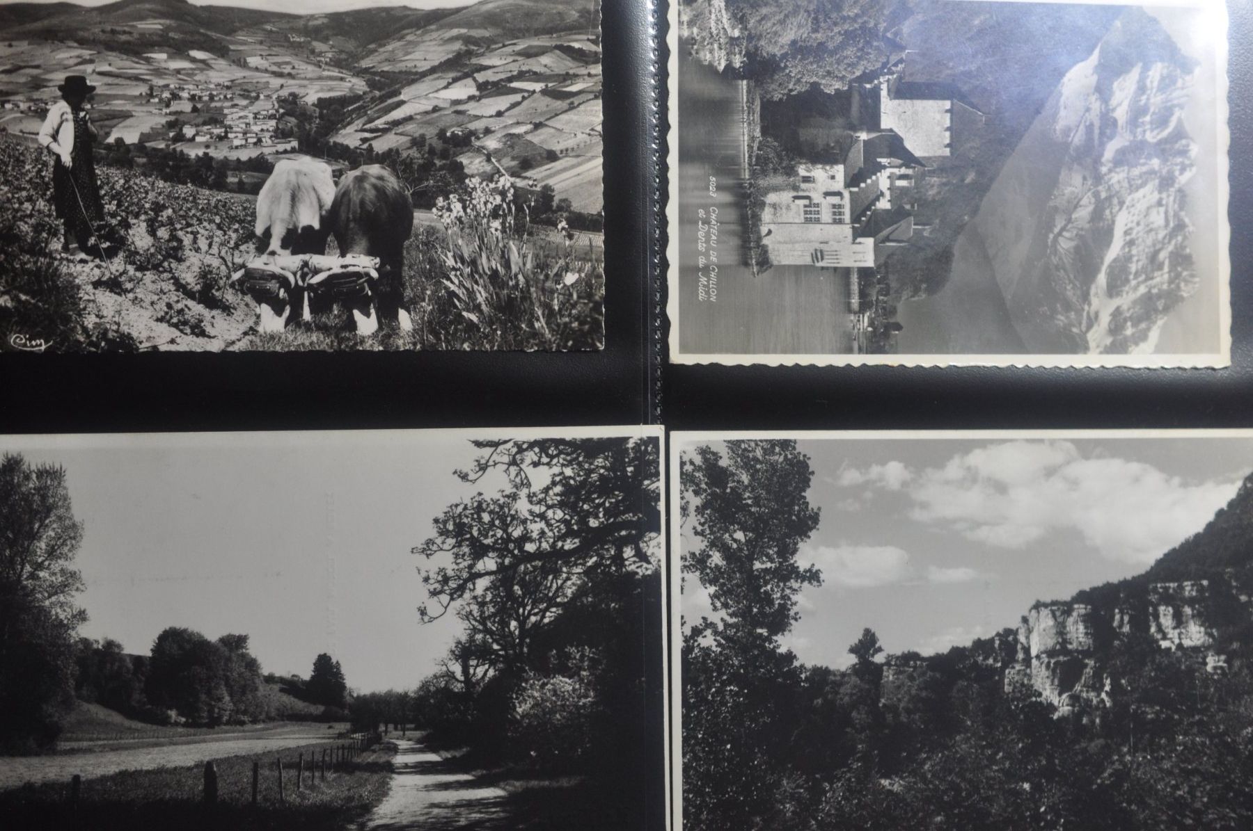 Ansichtskarten: CPA Noir & Blanc Album I – Gebraucht aus Moutier von Phillegrec 5