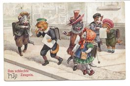 Katzenkarte - Das schlechte Zeugnis - Tränen - A. Thiele