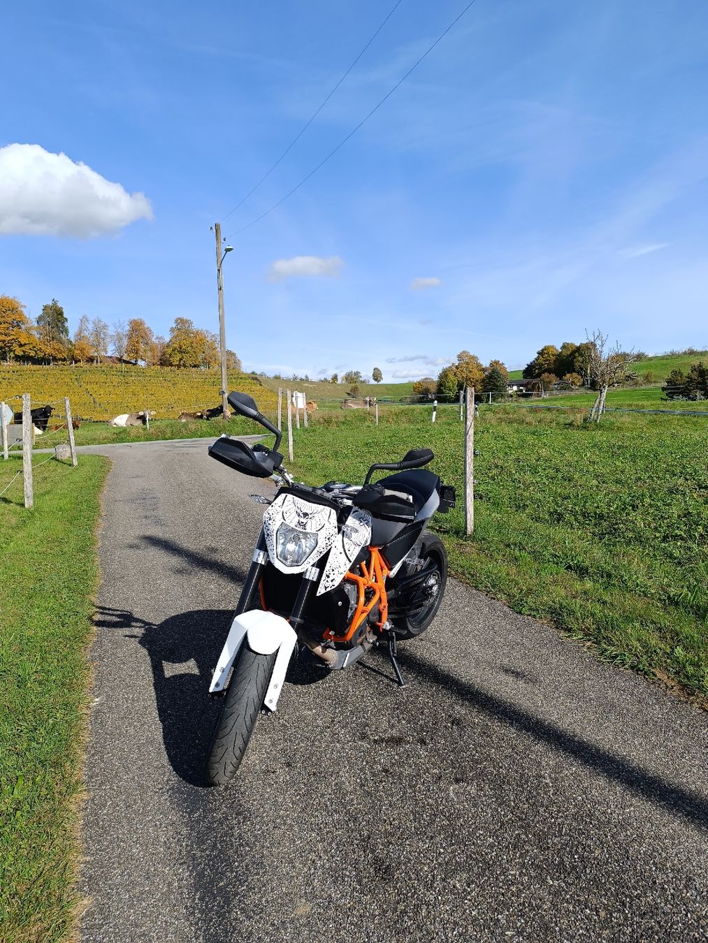 KTM Strada: KTM Duke 690 – Usato da Ottikon venduto da PiloniFive 1