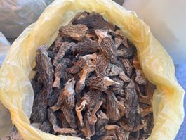 Getrocknete Morcheln 100 g 30 fr