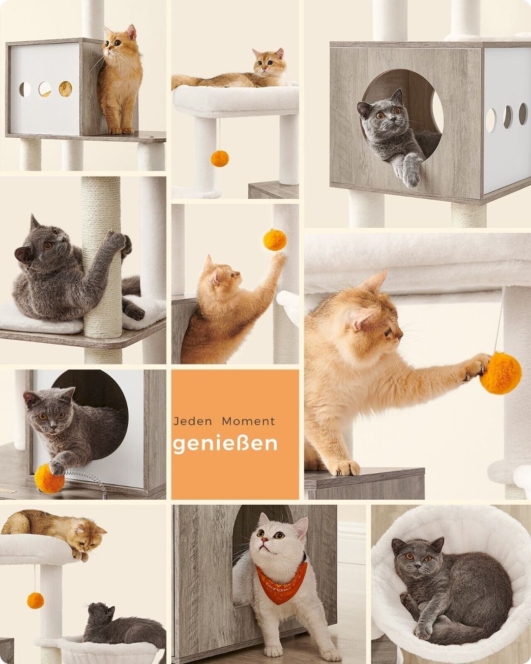 Arbres à chats: FEANDREA Kratzbaum 185cm – Neuf avec emballage d'origine à Bottighofen par zaap 4
