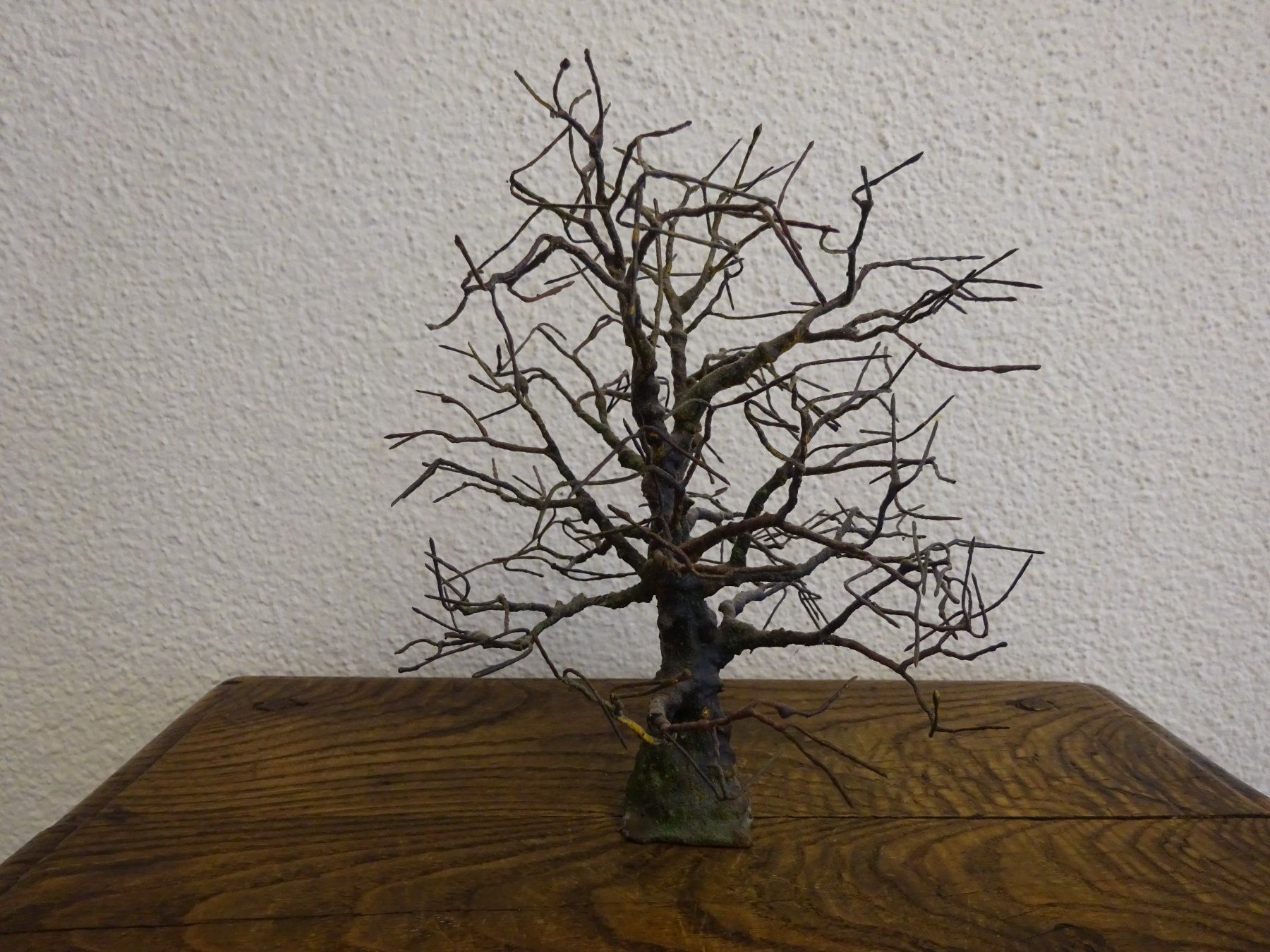 Skulpturen & Statuen: Baum Skulptur / Bildhauer Peter KUNZ – Gebraucht aus Esslingen von eintagammeer 5