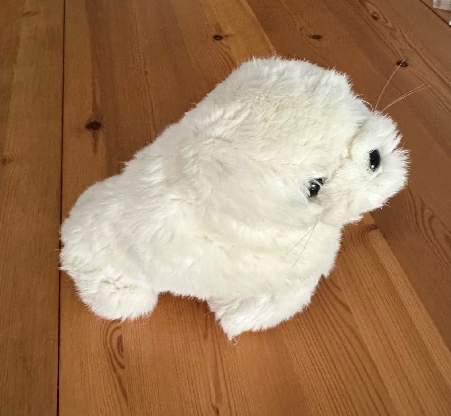 WWF Spielzeuge: Plüschtier Baby Robbe weiss – Gebraucht aus Winterthur von jud_xfw6 1