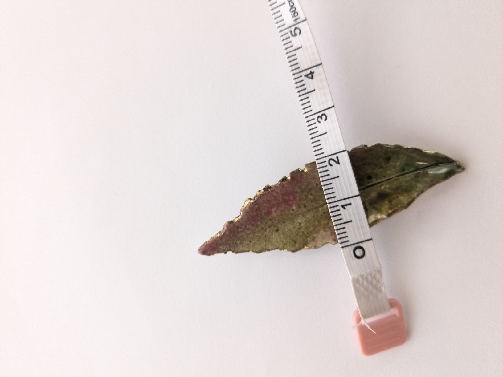 Spille & Fermagli: Brosche Blattform handgemacht ca. 6.5 cm lang – Usato da Rorschach venduto da olg_5qq2 4