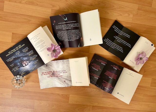 Bücher: Lucy Foley, T. R. Richmond, Michael Robotham, Steve Cavanagh – Neu (gemäss Beschreibung) aus Bern von Denzel8 7