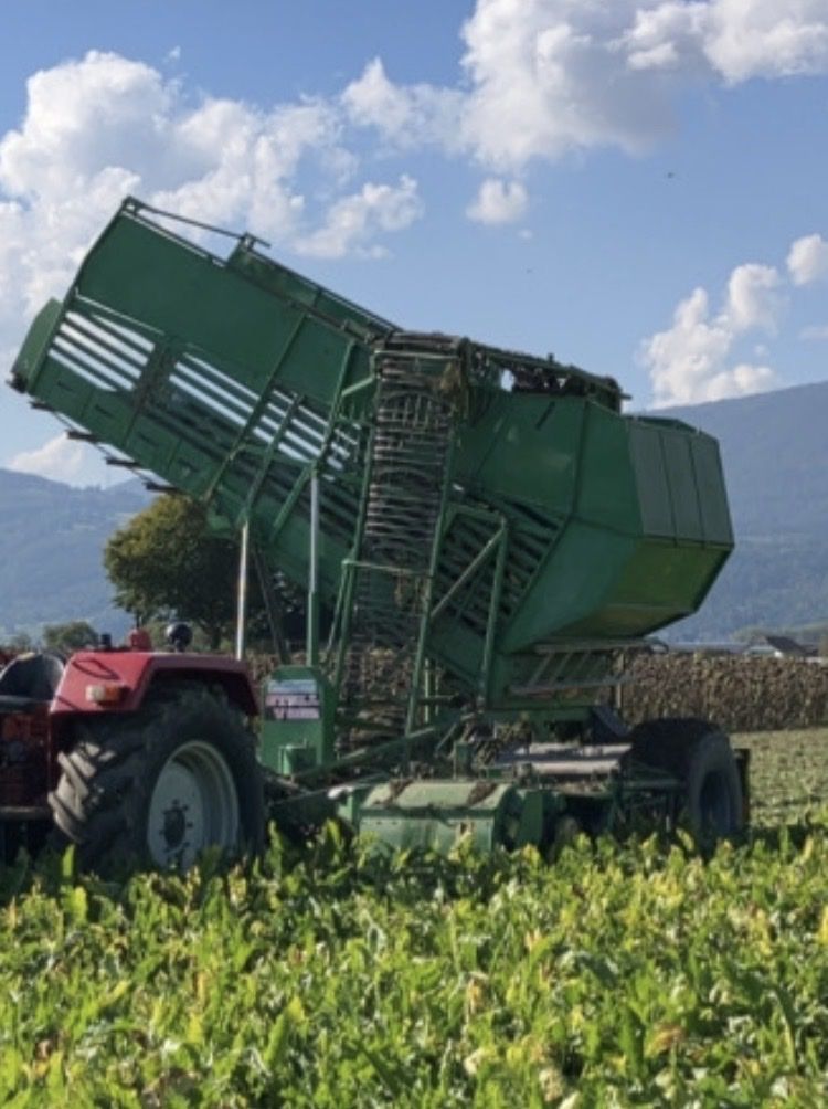 Stoll Tutte le macchine: Stoll V202 Rübenroder – Usato da Lommiswil venduto da HS-Schmitte