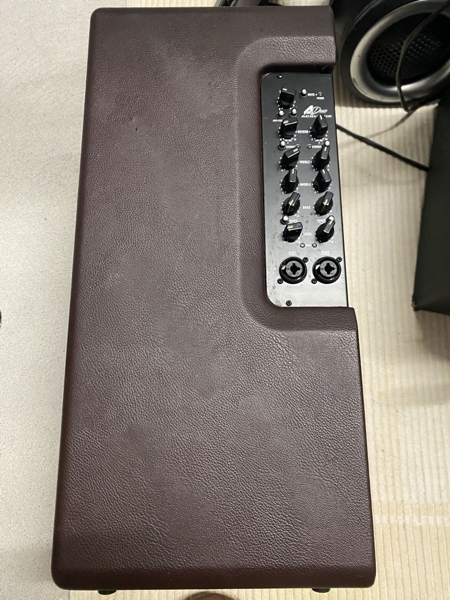 Laney Strumenti musicali: Lane A Duo – Nuovo (secondo la descrizione) da Döttingen venduto da dan_pl6l 1