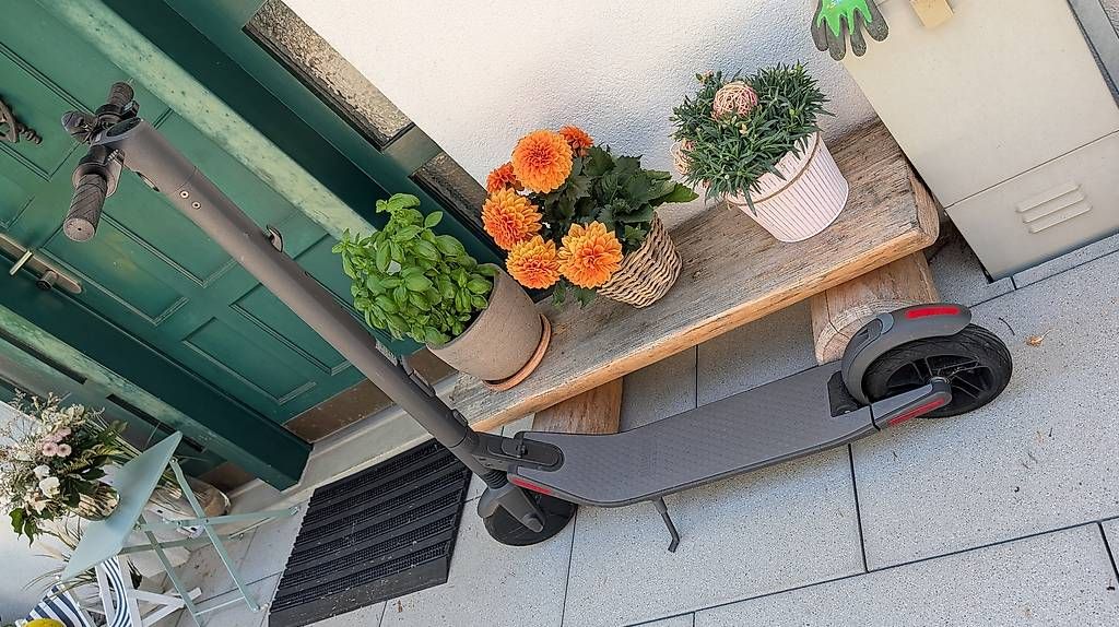 Segway Kickboard: Segway-Ninebot Kickscooter ES2 Lite – Usato da Ottenbach venduto da Dc360 1