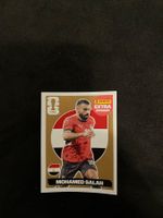 PANINI EXTRA Bronze Salah