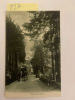 alte Ansichtskarte Route des Rasses Wallis