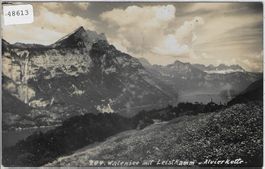 Walensee mit Leistkamm und Alvierkette