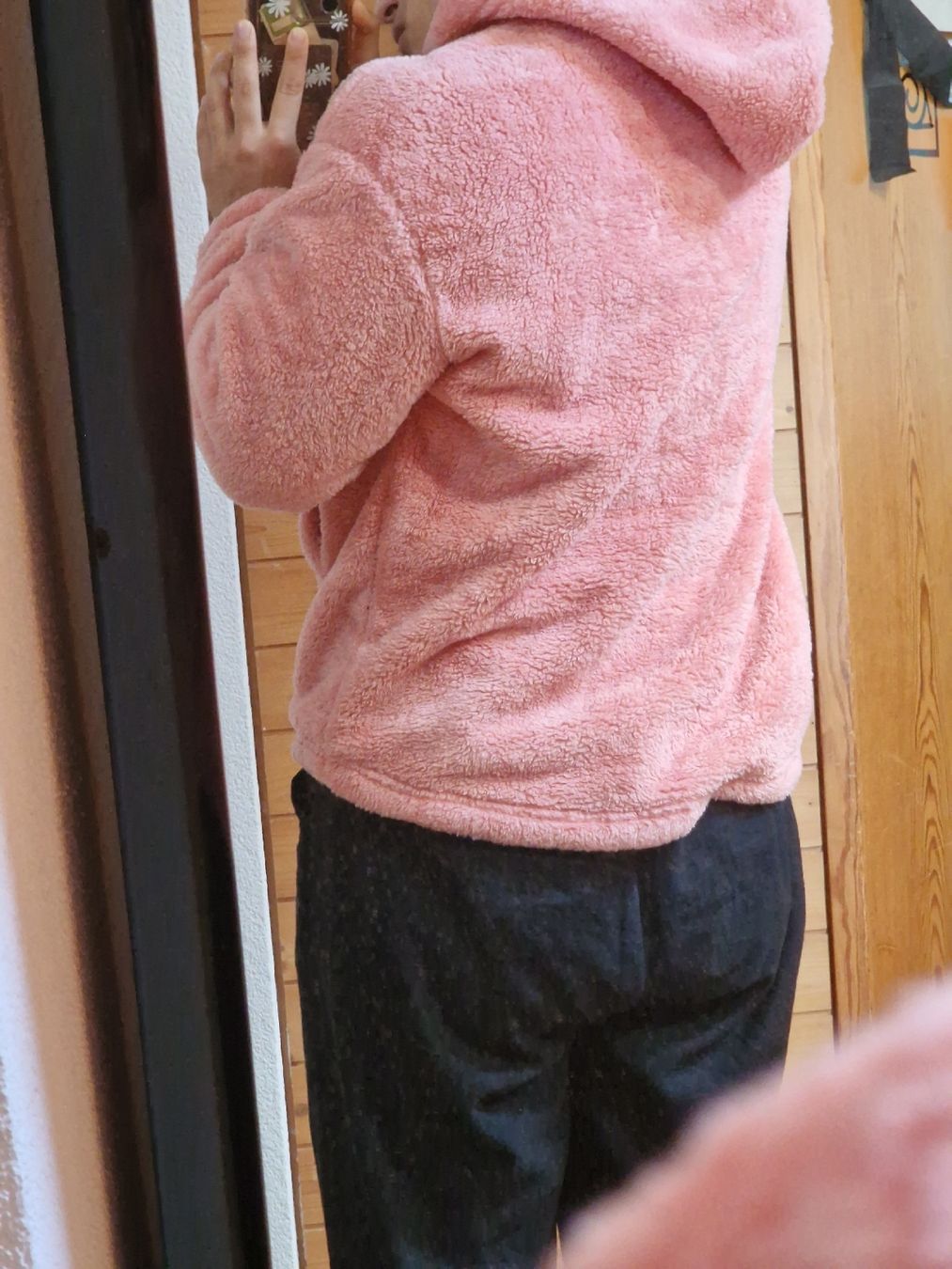 Pulls & Sweat-shirts: Pullover – D'occasion à Wil SG par zeh_pck9 2