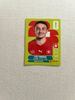 Panini Sui 18