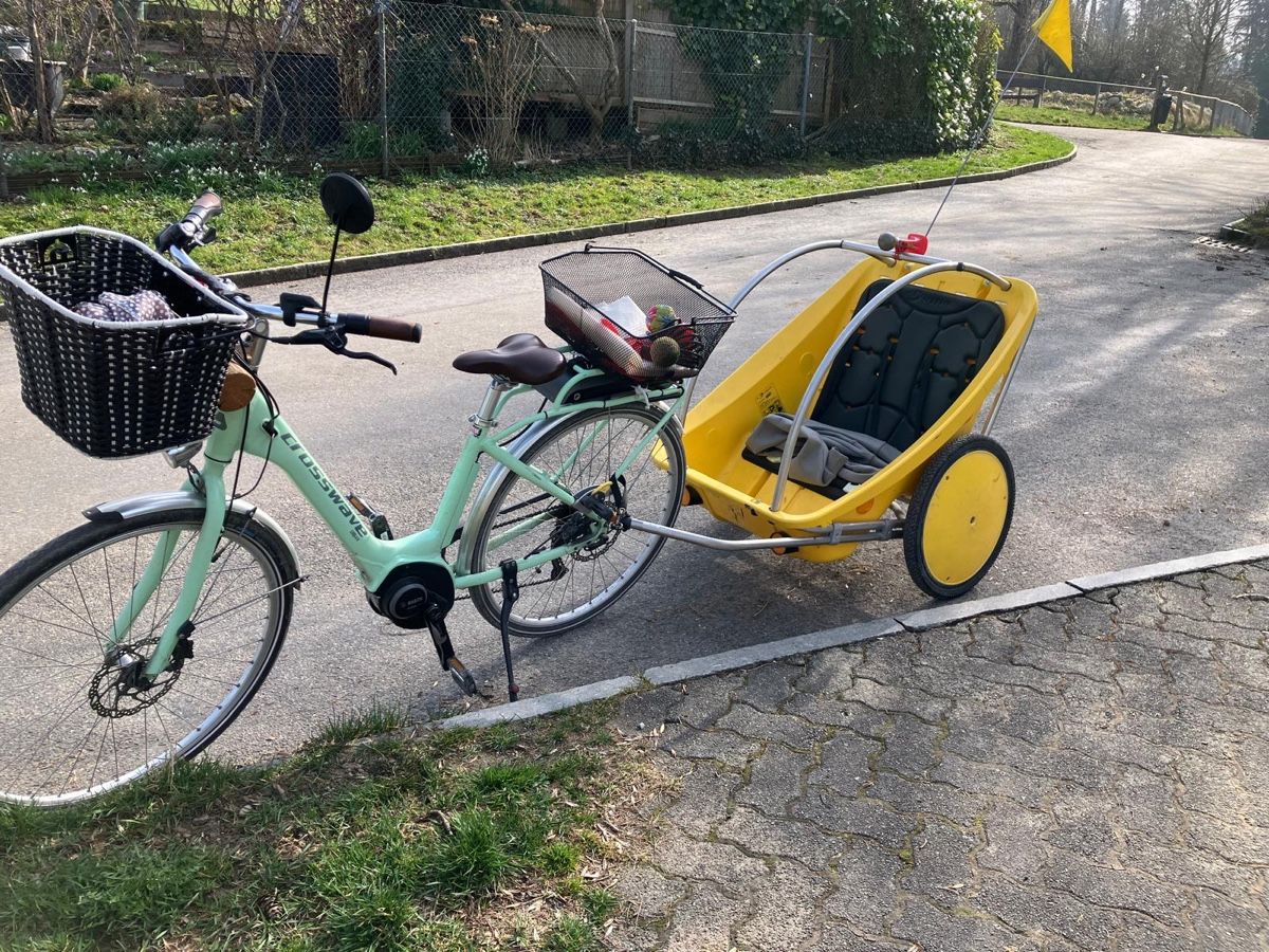 Leggero Rimorchi: Kid Trailer - Perfect for Spring Rides! – Usato da Adliswil venduto da Thomas.hettich