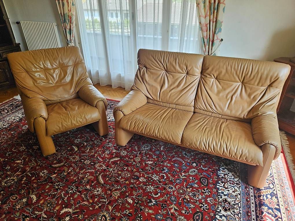 Divani: Fauteuil + canapé 2 places – Usato da Echarlens venduto da biker333 1