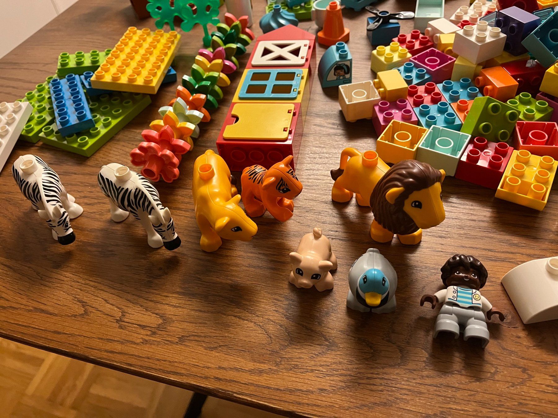 Lego Kit di costruzioni: Lego Duplo Konvolut – Usato da Wiesendangen venduto da mar_yx9r 1