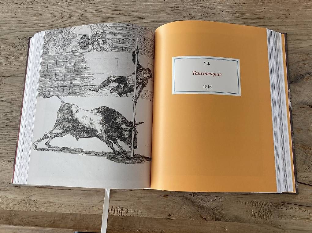 Libri: GOYA The Complete Prints – Usato da Bellach venduto da lia_26tj 4