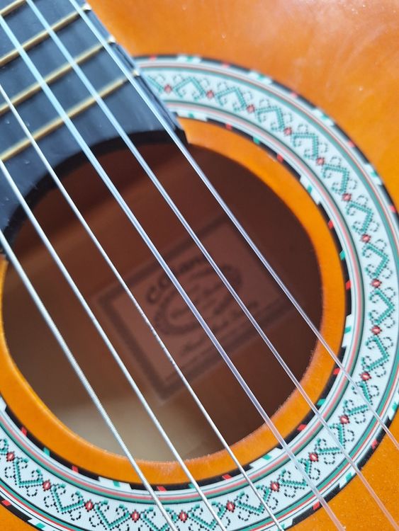 C.Giant Musikinstrumente: GIANT GITARRE INKL ETUI - FÜR PFADILAGER – Gebraucht aus Huttwil von Kunterbuntli 2