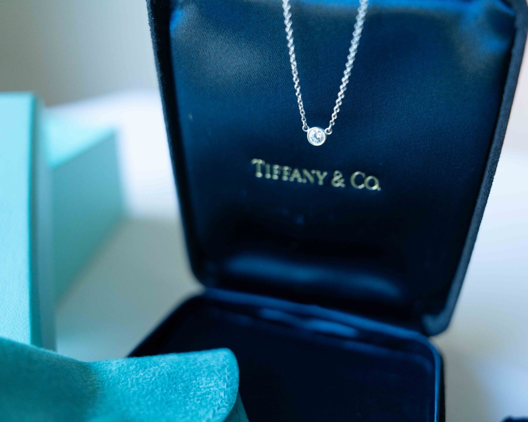 Tiffany & Co. Ketten: Tiffany - Elsa Peretti Single Diamond Platinum Pendant – Gebraucht aus Clarmont von sil_59s9 8