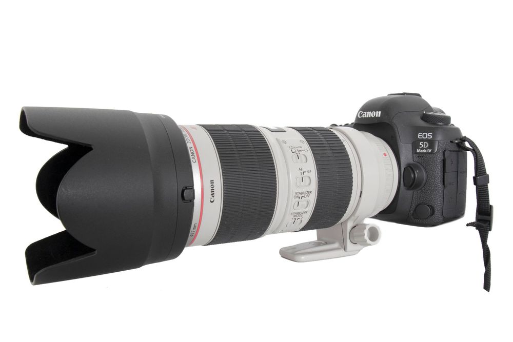 CANON EOS 5D MK IV Mark 4 Vollformat Kamera 5 D Kaufen auf Ricardo