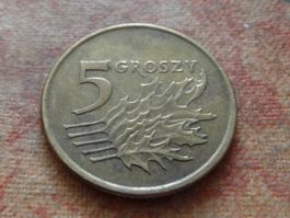 Pologne  5  Groszy  1998  (P)