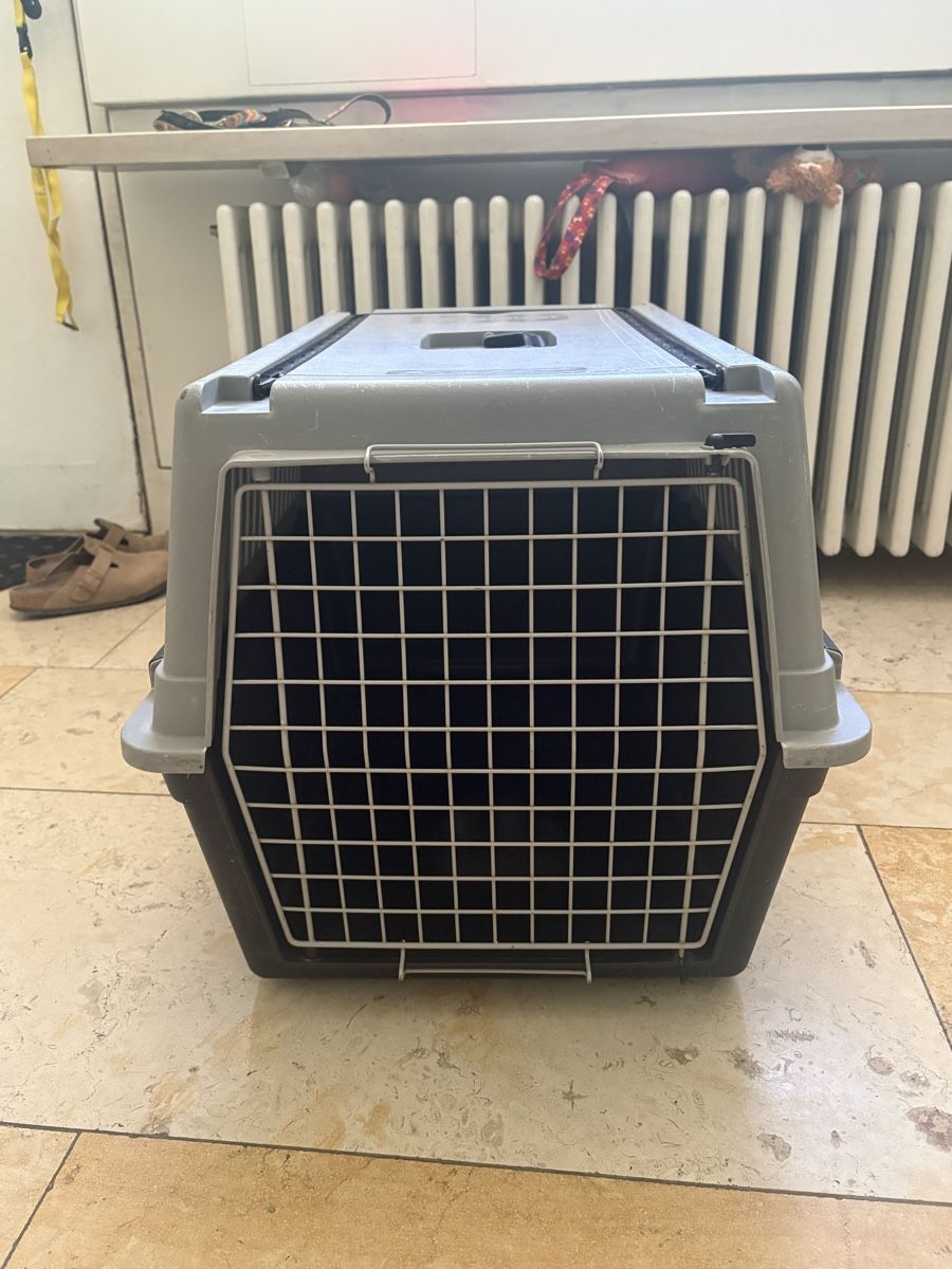 Ferplast Käfige, Transport & Sicherheit: Caisse pour chien  – Gebraucht aus Bottmingen von Rodzette