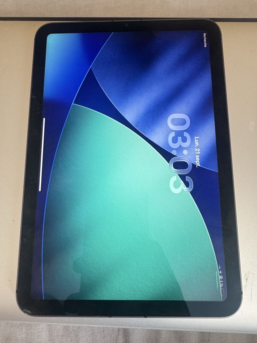 Apple Tablet PC: Tablette Apple iPad mini model A2568 – Gebraucht aus Biel/Bienne von Baol1 1