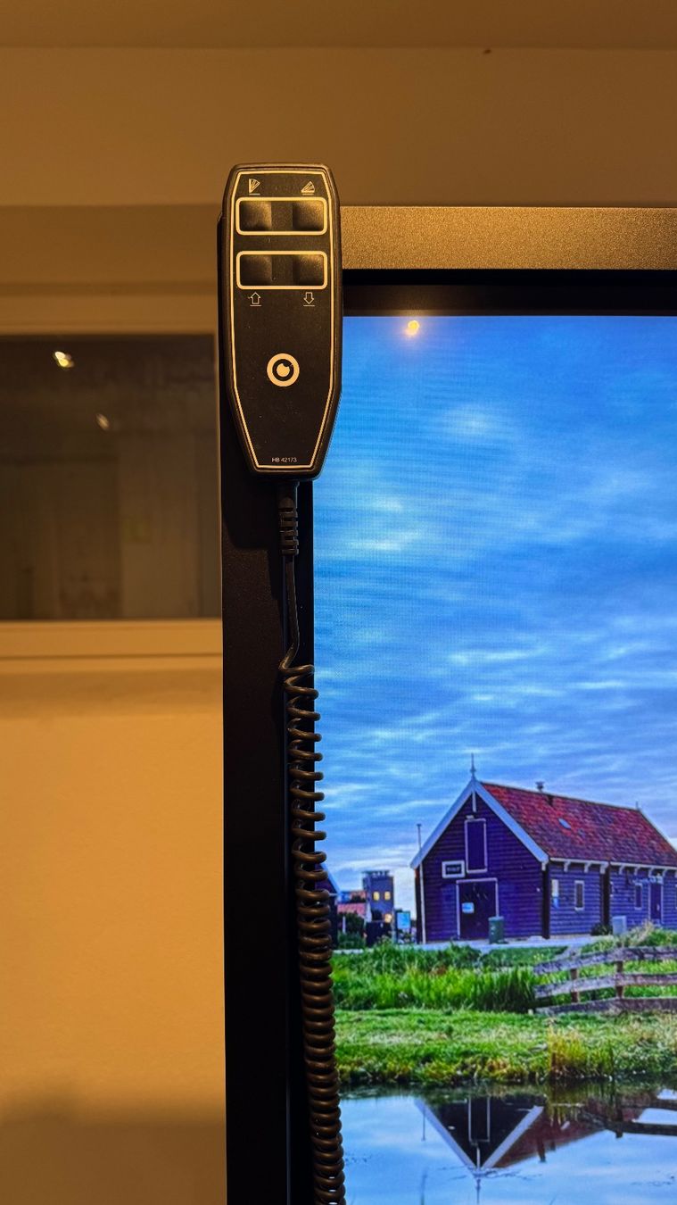Monitor: Prowise Touchscreen 65 Zoll – Usato da Riehen venduto da dua_6jjr 6