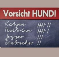🔥 VORSICHT HUND! Blechschild ❤️ 20x30cm OVP🔥