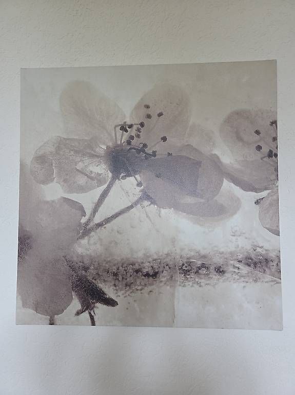 Foto & Immagini: Wandbilder 56cm x 56cm – Usato da Basel venduto da CelineAlicia97 2