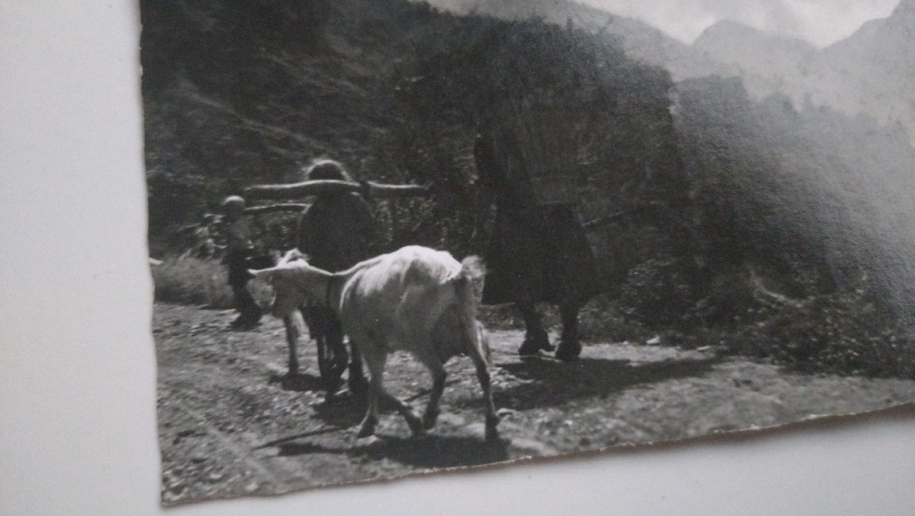 Ansichtskarten: Montée de Riddes à Isérables non circulée  – Gebraucht aus Farvagny-le-Grand von LaCaverne 1