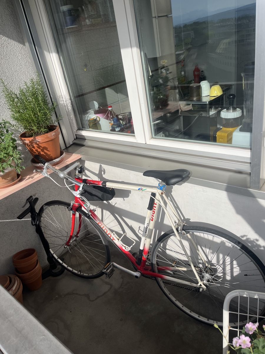 Giant Velos: Vintage Giant Rennrad Speedlite 59 – Gebraucht aus Zürich von mau_v8hn 2
