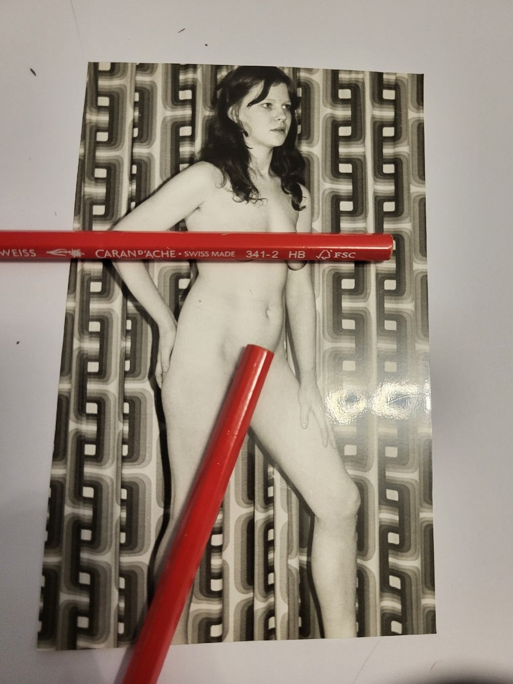 Posters & Illustrations: Foto Akt Frau  B1 – D'occasion à nunningen par mic_88k2